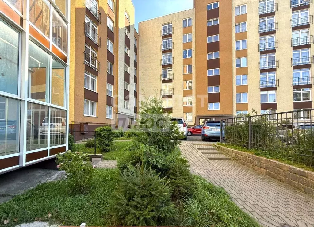 1-к кв. Калининградская область, Светлогорск Калининградский просп., ... - Фото 1