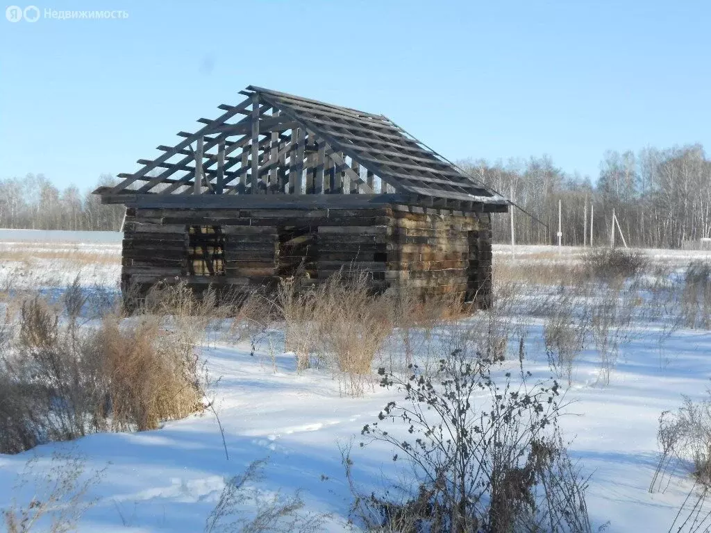 Участок в Челябинская область, Красноармейский муниципальный округ, ... - Фото 1