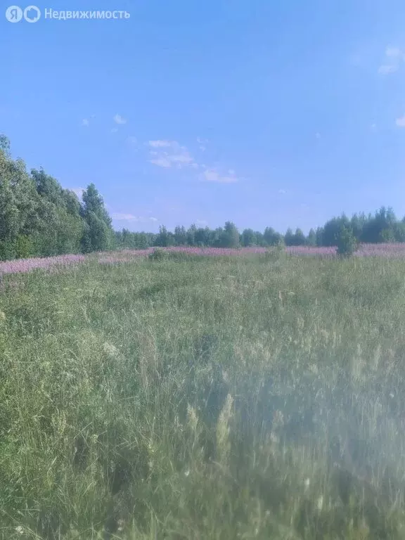 Участок в Алёховщинское сельское поселение (118 м) - Фото 2