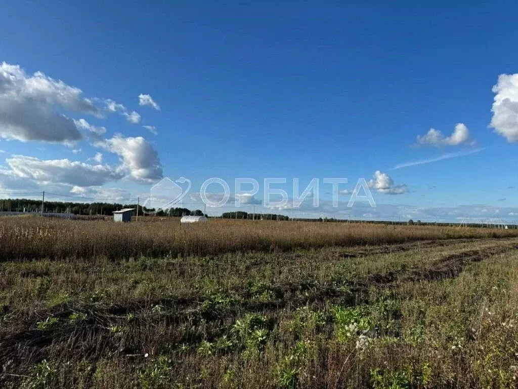 Участок в Тюменская область, Тюменский муниципальный округ, д. Большие ... - Фото 2