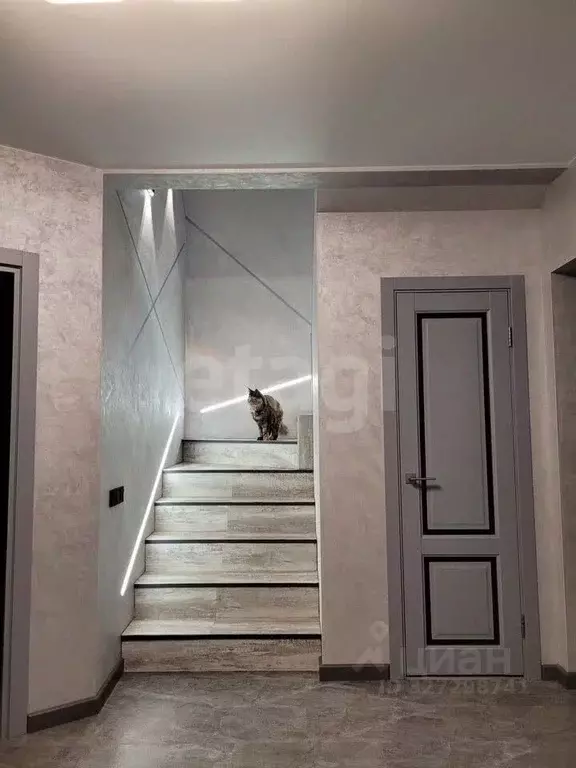 4-к кв. Томская область, Томск ул. Герцена, 46/1 (144.6 м) - Фото 2