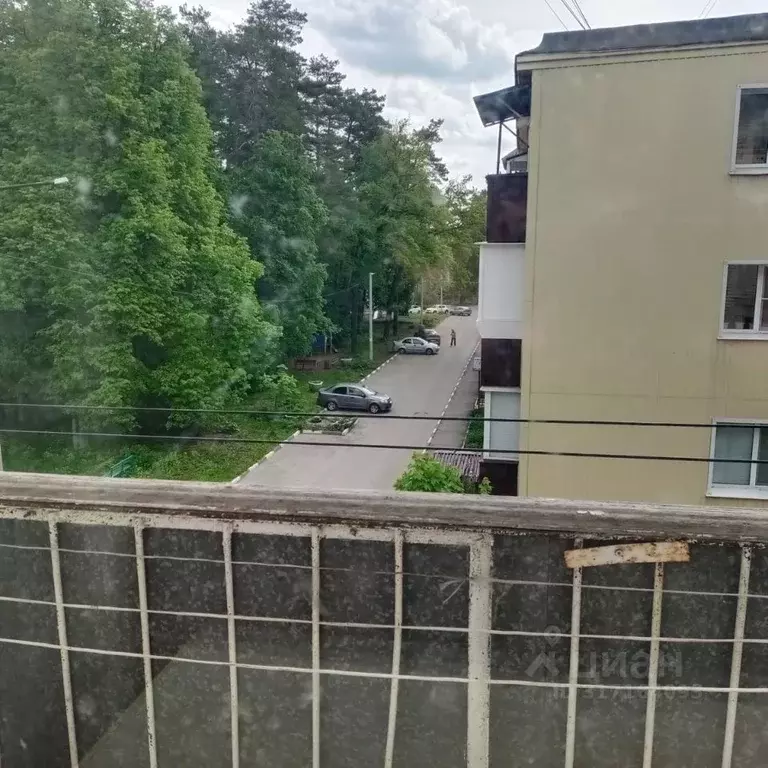 3-к кв. Ульяновская область, Димитровград просп. Ленина, 8 (54.2 м) - Фото 1