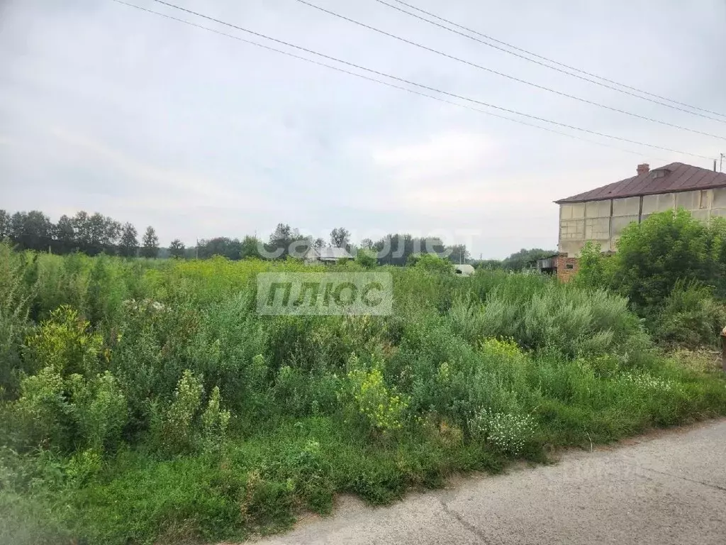 Участок в Новосибирская область, Искитимский район, д. Бурмистрово ул. ... - Фото 1