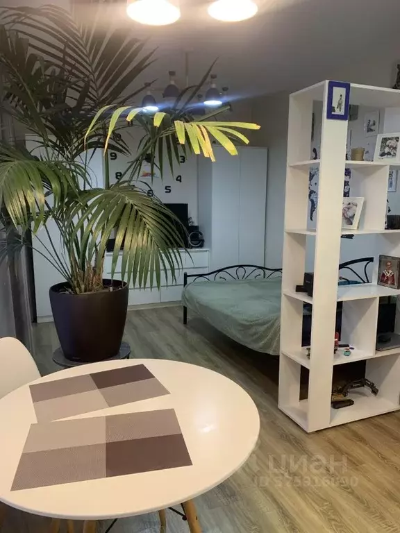 Студия Московская область, Ленинский городской округ, д. Жабкино, ... - Фото 2