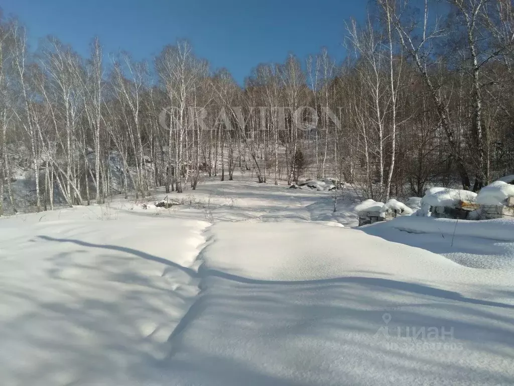 Участок в Алтай, Майминский район, пос. Дубровка Горный пер. (15.0 ... - Фото 2