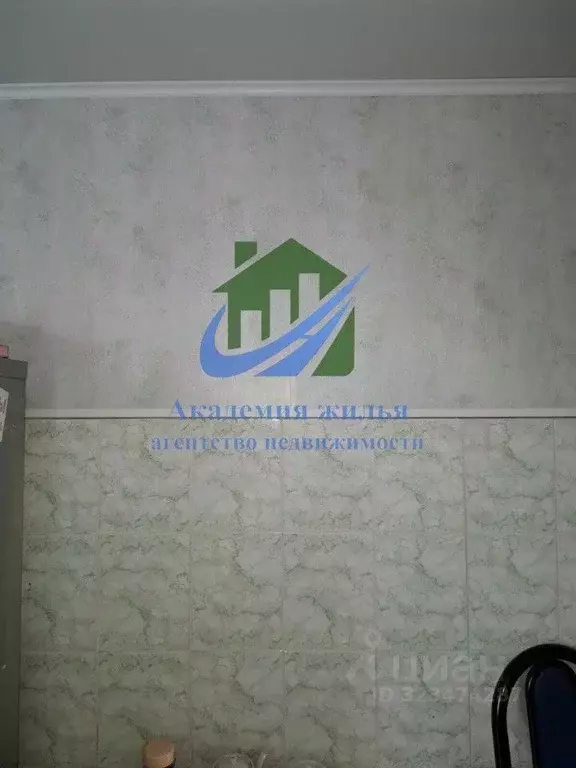 2-к кв. Оренбургская область, Орск пос. Нагорный, пер. Кишиневский, 4 ... - Фото 2