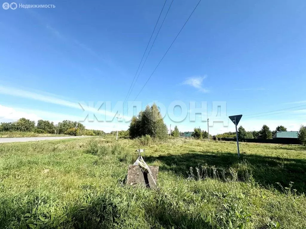 Участок в Боровое, Рассветная улица (16.15 м) - Фото 2