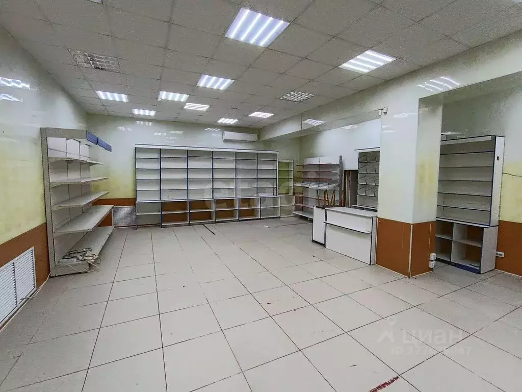 Помещение свободного назначения в Владимирская область, Владимир ... - Фото 1
