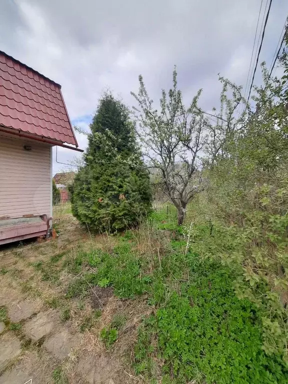 Дом 53,8 м на участке 6 сот. - Фото 1