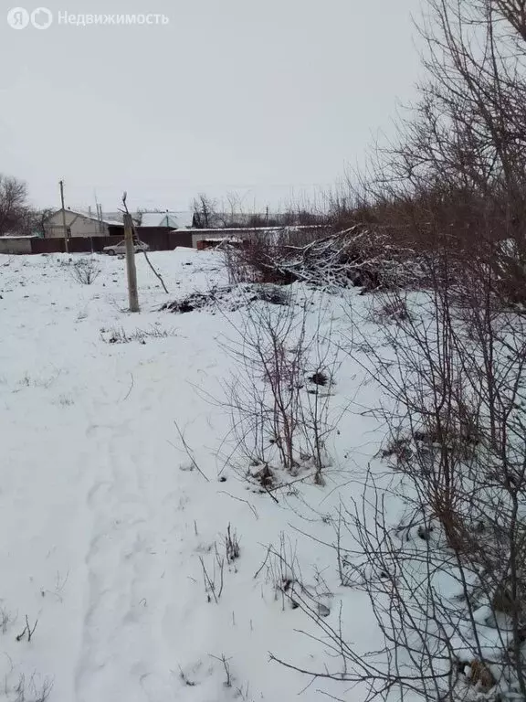 Участок в Белокалитвинский район, село Литвиновка (15 м) - Фото 1