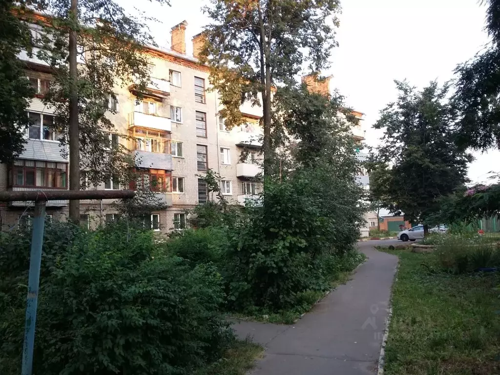 2-к кв. Московская область, Электроугли Богородский городской округ, ... - Фото 0