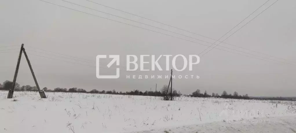 Участок в Ярославская область, Большесельский муниципальный округ, ... - Фото 2