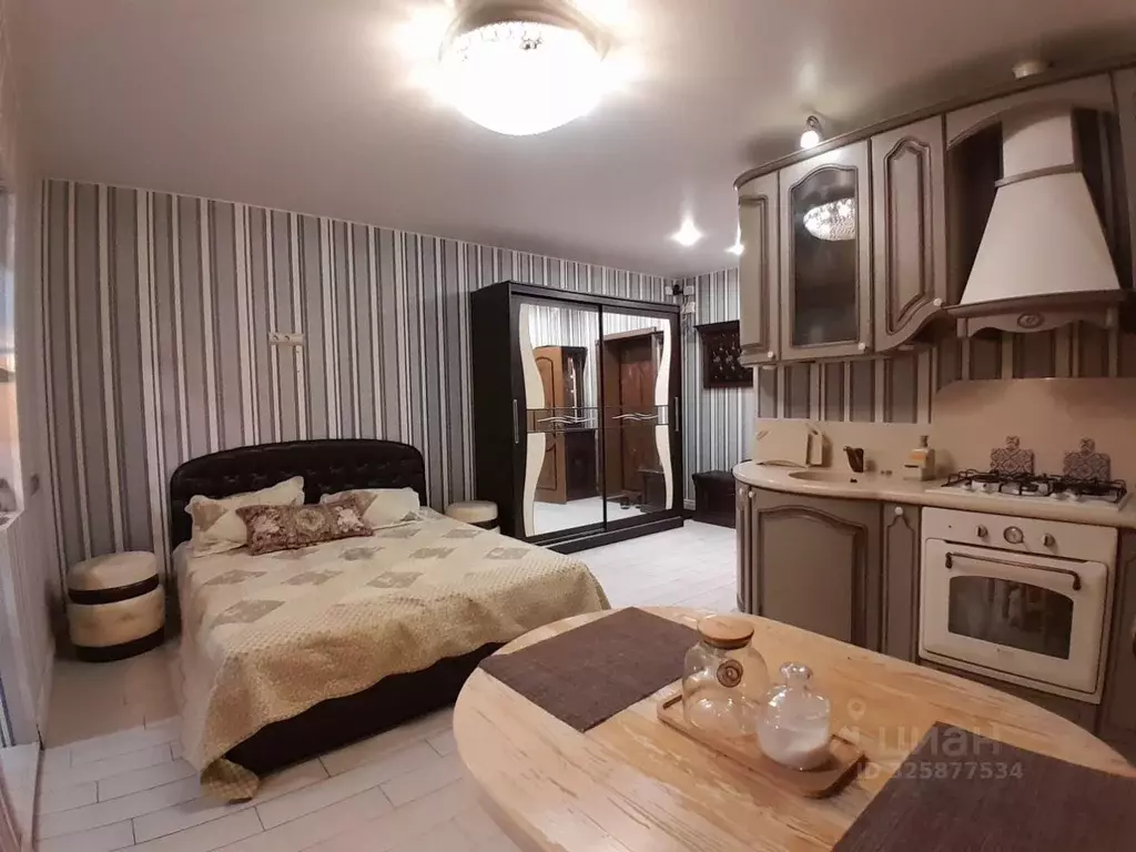 Студия Московская область, Мытищи городской округ, д. Шолохово ул. ... - Фото 1