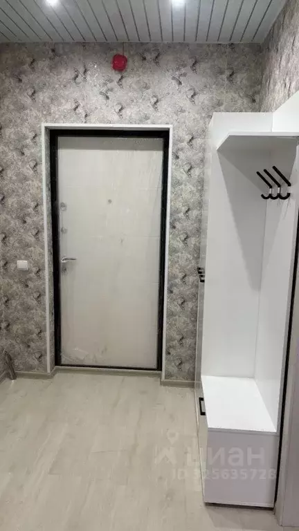 1-к кв. Брянская область, Брянск просп. Станке Димитрова, 67к7 (37.0 ... - Фото 1