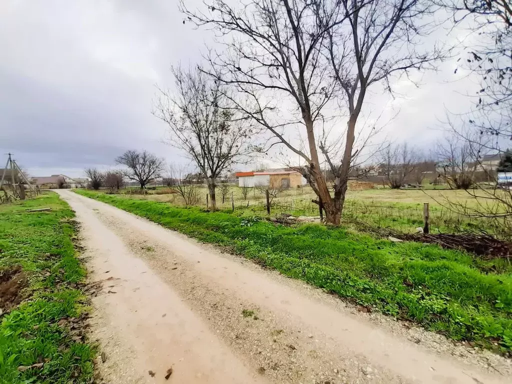 Участок в Крым, Сакский район, Ореховское с/пос, с. Червоное ул. ... - Фото 1