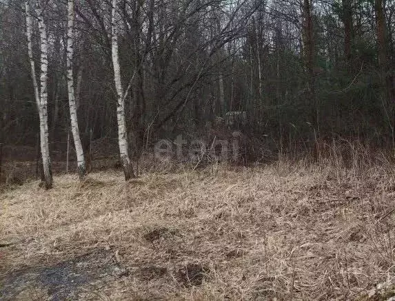 Участок в Псковская область, Псковский муниципальный округ, ... - Фото 2