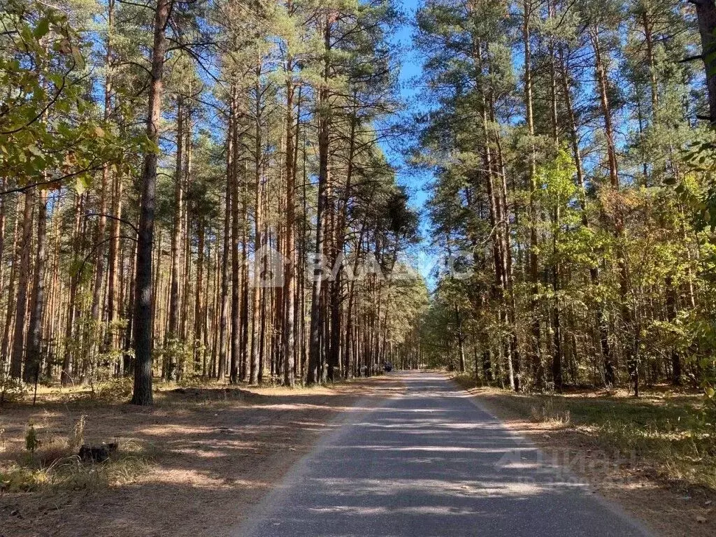 Участок в Владимирская область, Владимир Колос садовое товарищество,  ... - Фото 2