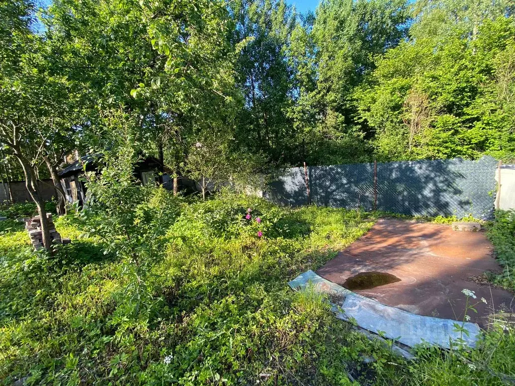 Участок в Санкт-Петербург пос. Парголово, Климовец СНТ, ул. Южная, 193 ... - Фото 2