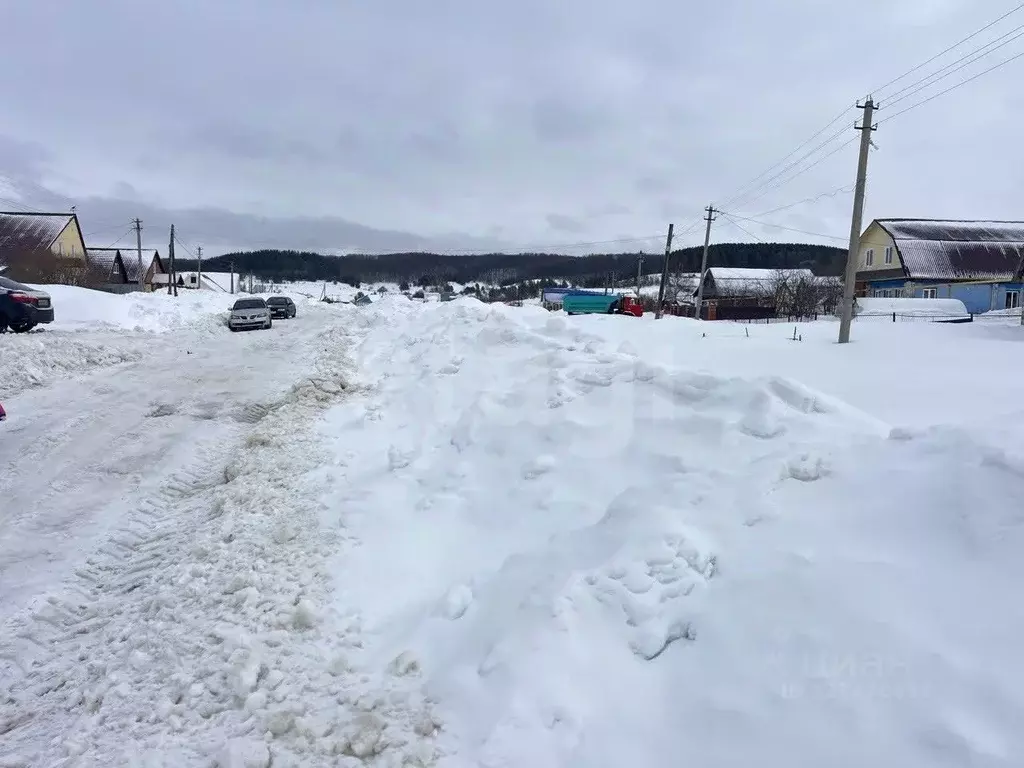 Участок в Мордовия, Лямбирский район, Пензятское с/пос, с. Пензятка ... - Фото 2