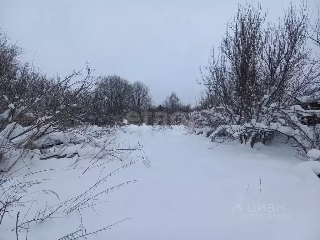 Участок в Смоленская область, Смоленский муниципальный округ, Ветеран ... - Фото 2