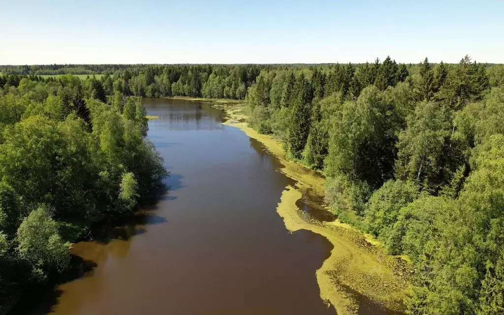 Участок в Московская область, Волоколамский городской округ, д. ... - Фото 0