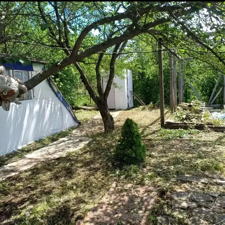 Участок в Ростовская область, Родионово-Несветайский район, ... - Фото 2