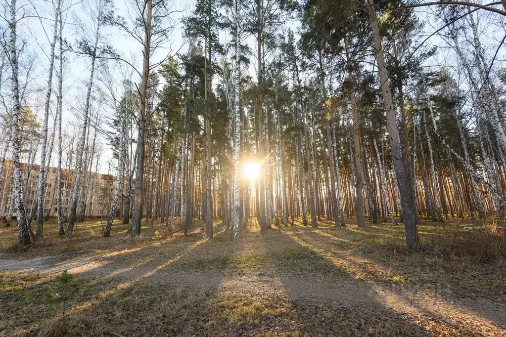 3-к кв. Челябинская область, Сосновский муниципальный округ, пос. ... - Фото 2