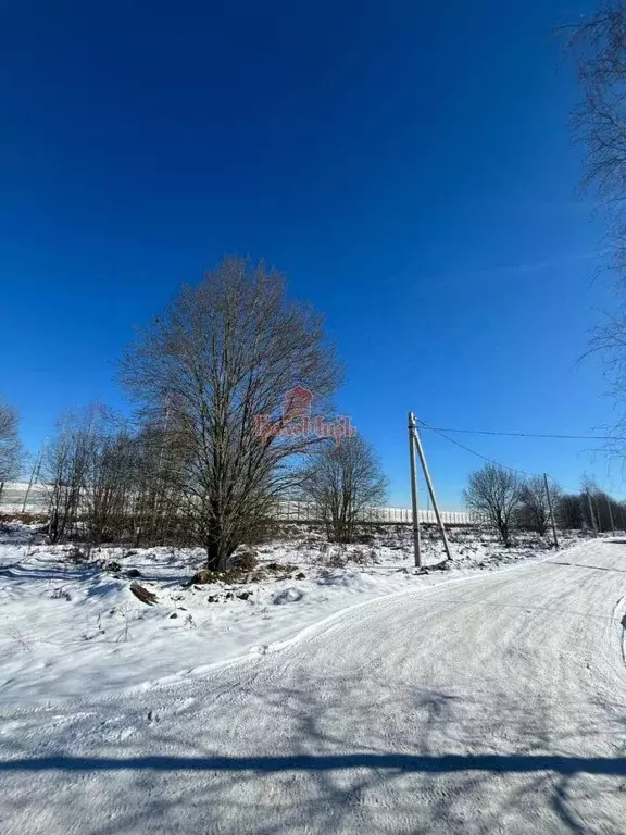 Участок в Московская область, Сергиев Посад ул. Суворицкая (20.0 сот.) - Фото 0