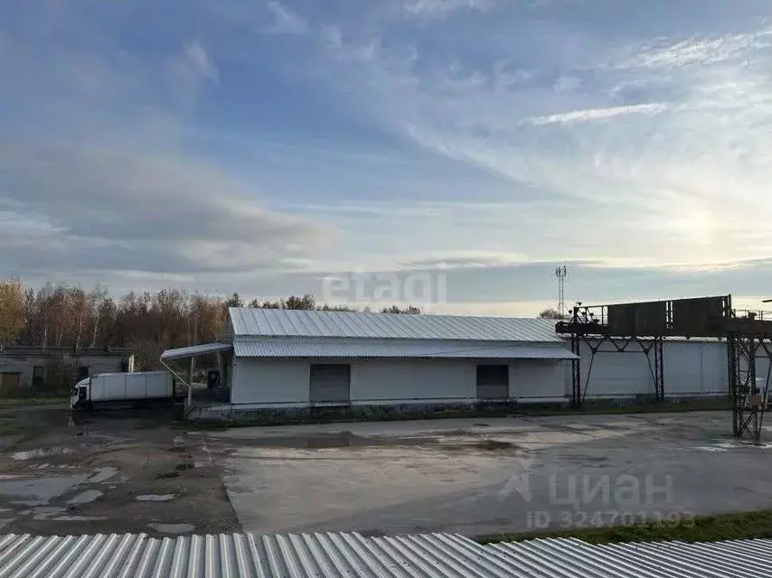 Склад в Калининградская область, Калининград Камская ул., 47 (1740 м) - Фото 1