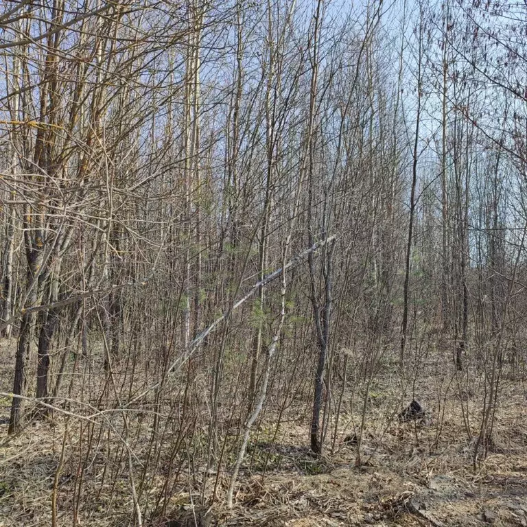 Участок в Московская область, Электрогорск Павлово-Посадский городской ... - Фото 0