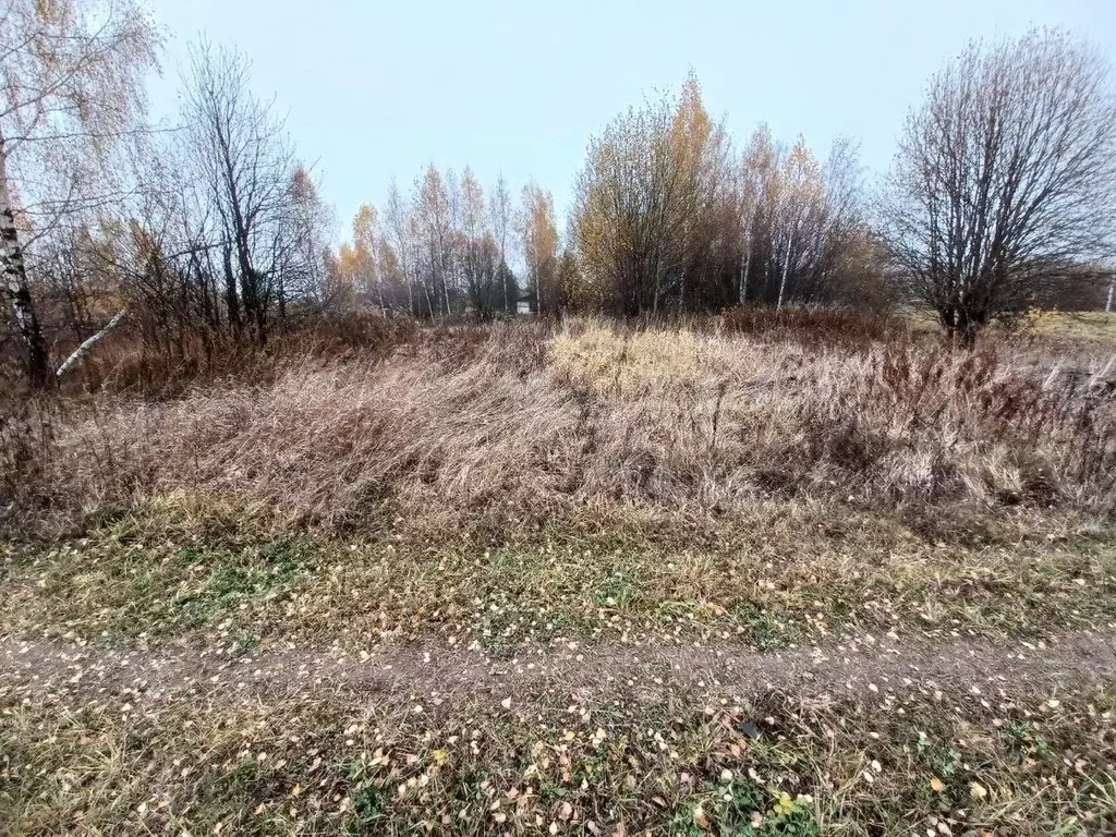 Участок в Московская область, Сергиево-Посадский городской округ, д. ... - Фото 1