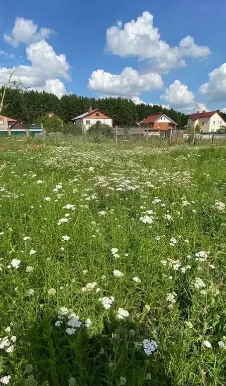 Дом в Московская область, Коломна ул. Свободы, 68 (77 м) - Фото 2