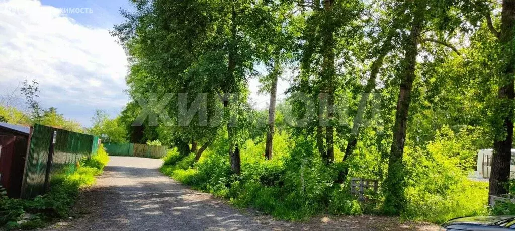 Участок в Новосибирск, Мочищенское шоссе (6.1 м) - Фото 1