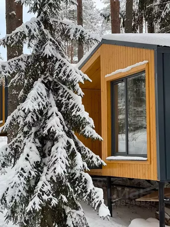 Дом в Ленинградская область, Всеволожский район, Куйвозовское с/пос, ... - Фото 1