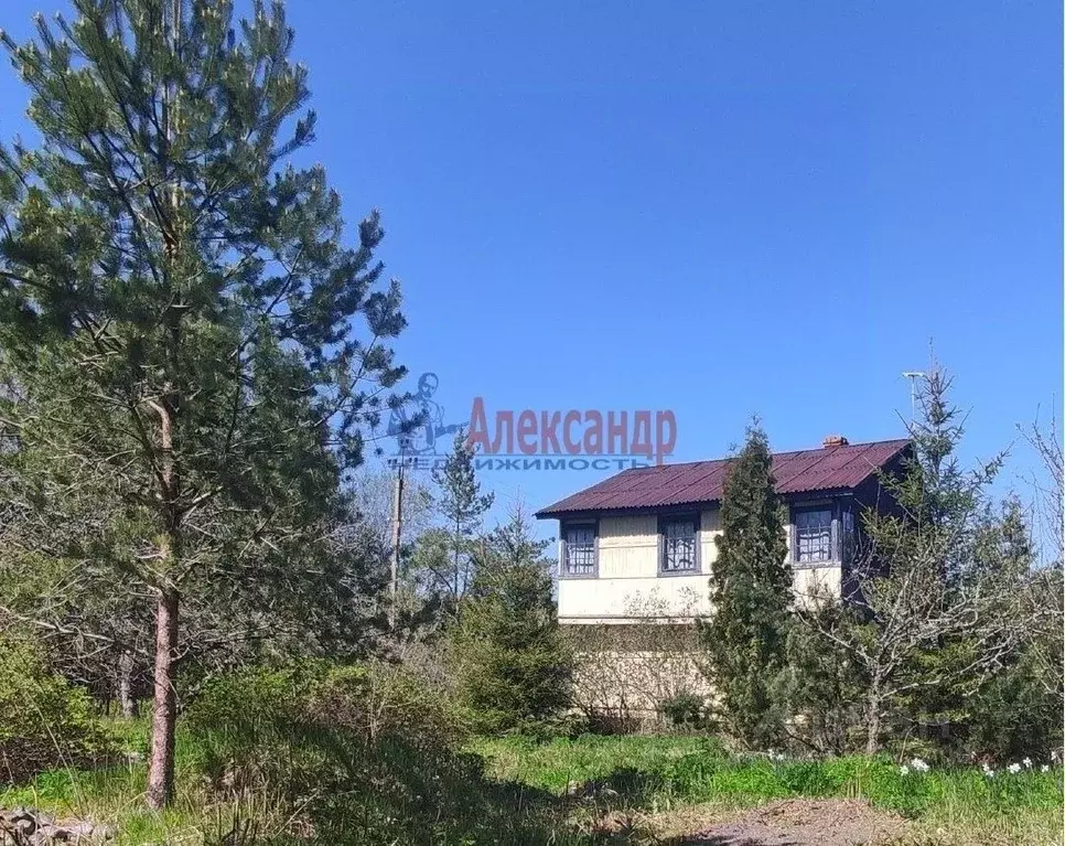 Дом в Ленинградская область, Гатчинский район, Новинка садоводческий ... - Фото 0