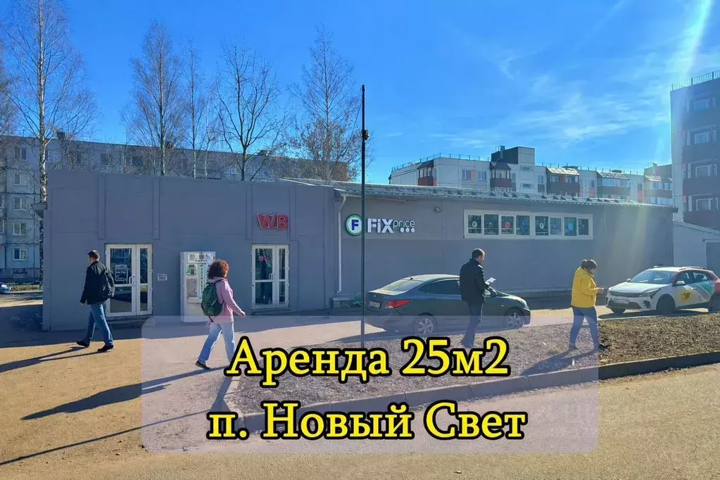 Помещение свободного назначения в Ленинградская область, Гатчинский ... - Фото 1