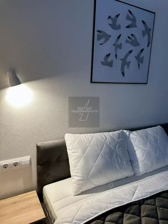 Студия Санкт-Петербург Ремесленная ул., 15 (27.0 м) - Фото 1