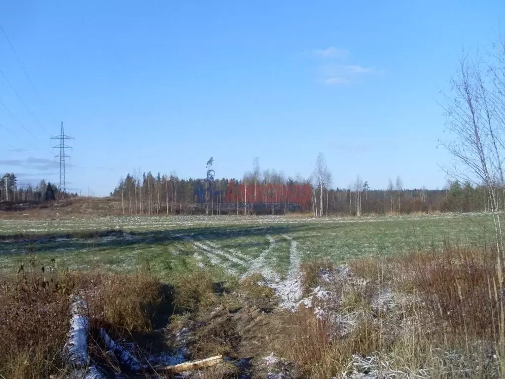 Участок в Ленинградская область, Выборгский район, Каменногорское ... - Фото 0