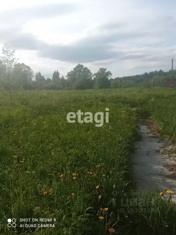 Участок в Ленинградская область, Выборгский район, Светогорское ... - Фото 1