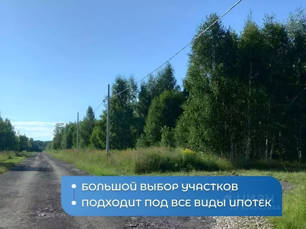 Участок в Нижегородская область, Богородский муниципальный округ, с. ... - Фото 1