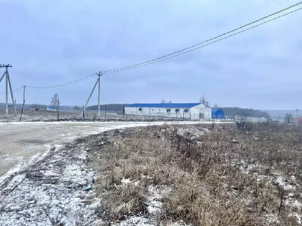 Продается участок в с. Клишино - Фото 0