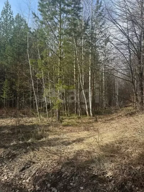 Участок в Свердловская область, Кировградский муниципальный округ, ... - Фото 1