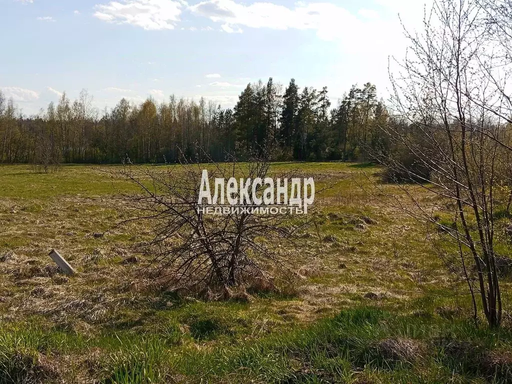 Участок в Ленинградская область, Приозерский район, Ларионовское ... - Фото 0