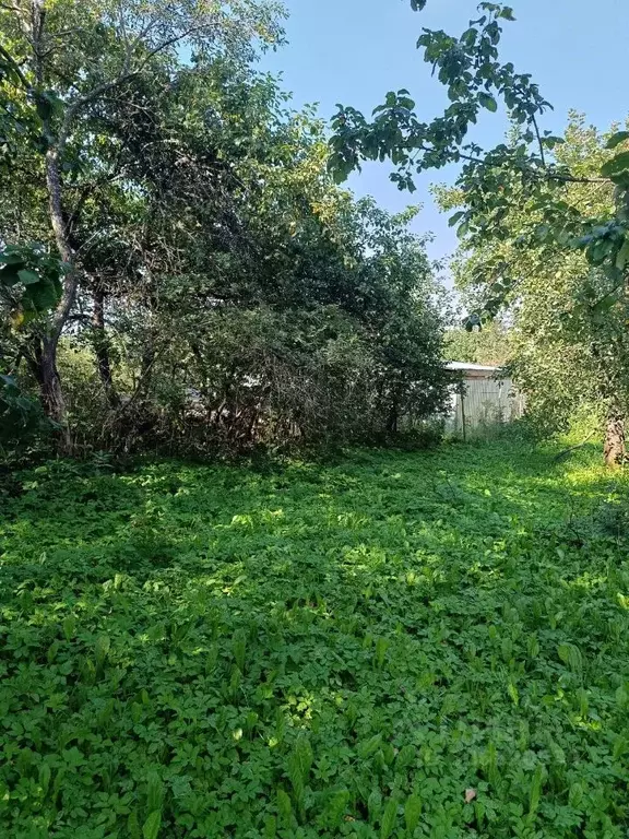 Участок в Нижегородская область, Нижний Новгород городской округ, д. ... - Фото 0