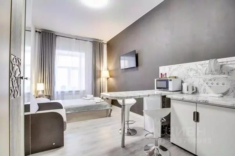 1-к кв. Санкт-Петербург Пушкинская ул., 18 (20.0 м) - Фото 2