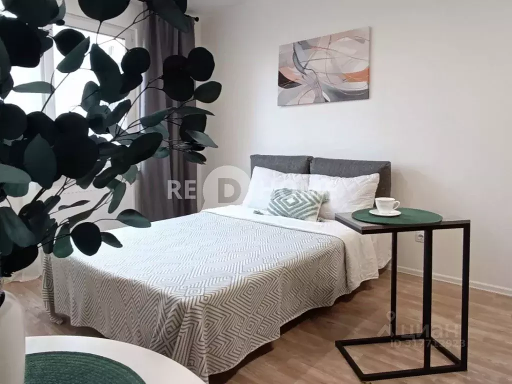 Студия Санкт-Петербург дор. Муринская, 25к2 (20.82 м) - Фото 0