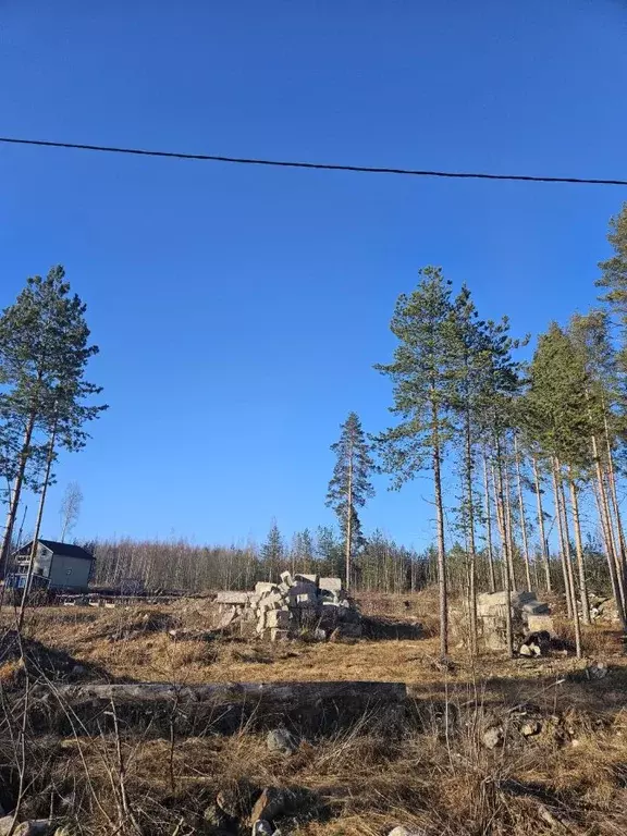 Участок в Карелия, Прионежский район, Шуйское с/пос, д. Верховье  ... - Фото 2