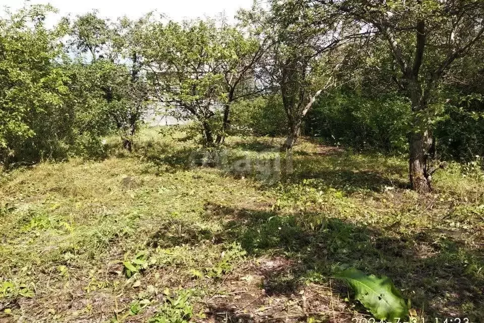 Участок в село Курджиново, Алычёвая улица (12.64 м) - Фото 2