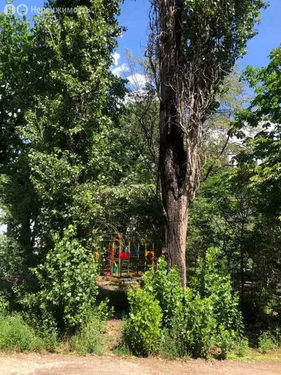 2-комнатная квартира: Воронеж, улица Ломоносова, 116А (47.3 м) - Фото 0
