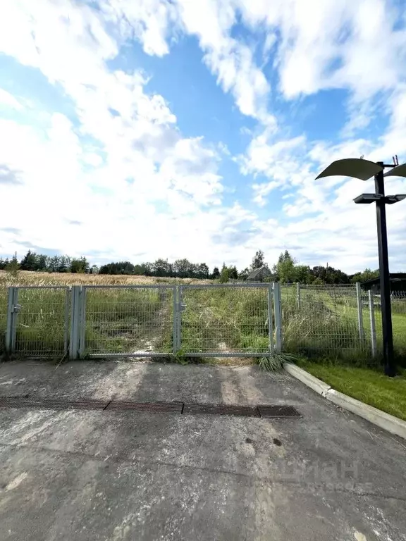 Участок в Московская область, Истра муниципальный округ, д. Мансурово  ... - Фото 2